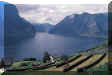 11007265.JPG (48047 byte)